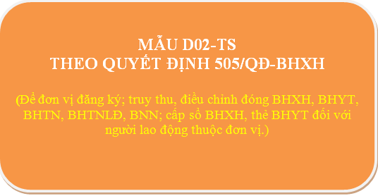 Tải mẫu D02-TS theo QĐ 505, mẫu được áp dụng từ tháng 05/2020