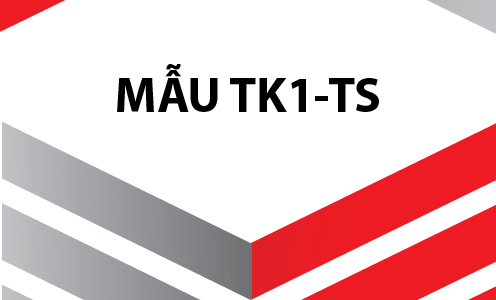 mẫu tờ khai tk1-ts