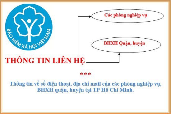 Thông tin liên hệ các phòng nghiệp vụ, BHXH  Quận, huyện của Thành Phố Hồ Chí Minh