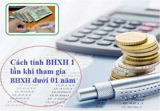 Tham gia BHXH dưới 1 năm nhận 1 lần được không? nhận được bao nhiêu?