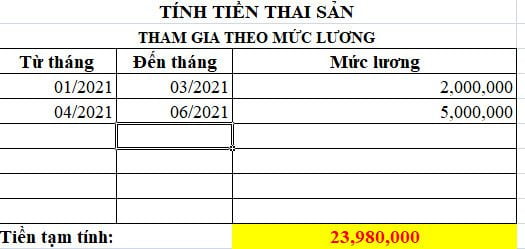 File excel tính tiền thai sản