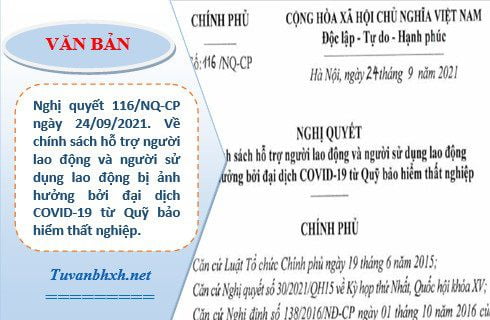 Toàn văn Nghị quyết 116/NQ-CP, chính sách hỗ trợ người lao động và người sử dụng lao động bị ảnh hưởng bởi dịch COVID-19