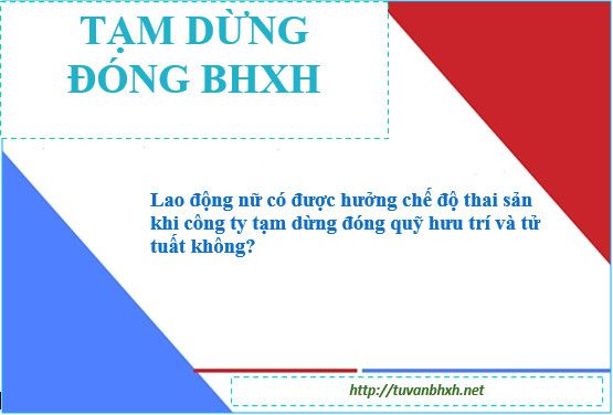 Có được hưởng chế độ thai sản khi công ty tạm dừng đóng quỹ hưu trí và tử tuất không?