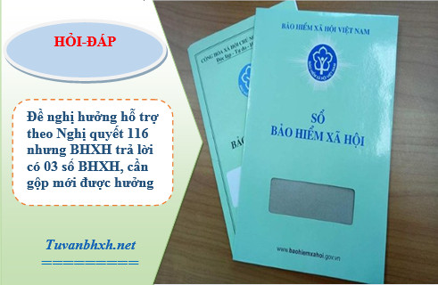 Có nhiều sổ BHXH, chưa hưởng được hỗ trợ BHTN theo NQ 116?