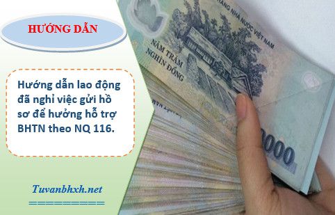 Hướng dẫn NLĐ đã nghỉ việc bảo lưu BHTN gửi hồ sơ hưởng hỗ trợ BHTN theo NQ 116