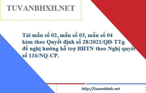 Mẫu số 02, mẫu số 03,mẫu số 04 kèm theo Quyết định số 28/2021/QĐ-TTg