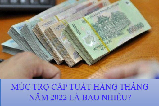 Điều kiện và Mức hưởng trợ cấp tuất hằng tháng năm 2022 thế nào ?