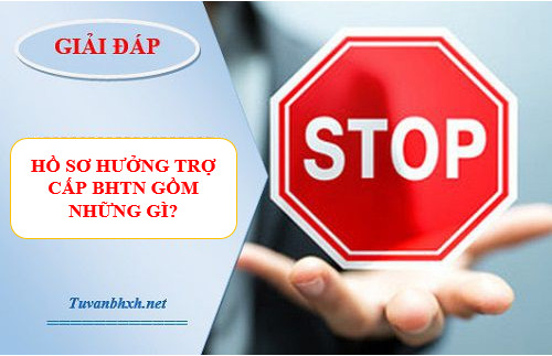 Hồ sơ hưởng trợ cấp thất nghiệp