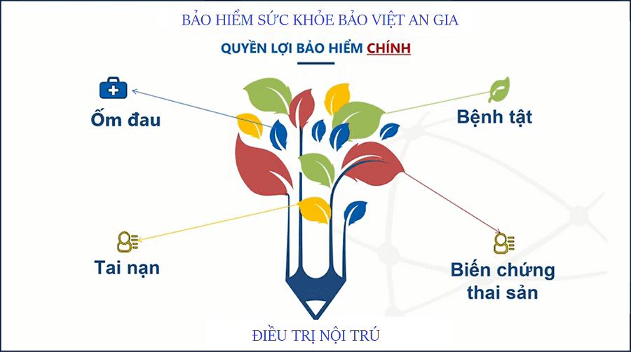 Bảo hiểm sức khoẻ là gì, quyền lợi khi tham gia bảo hiểm sức khoẻ Bảo việt?