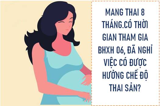 Tham gia BHXH 6 tháng, đã nghỉ việc, đang mang thai 8 tháng có được hưởng thai sản?